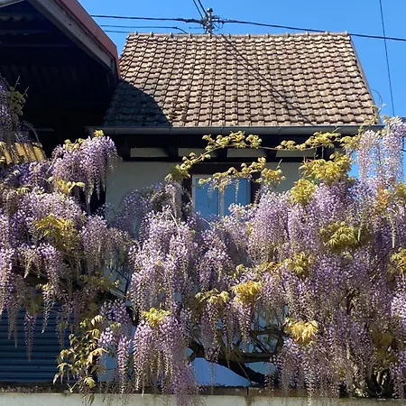 Le Stras, Triplex Atypique Individuel Appartement *