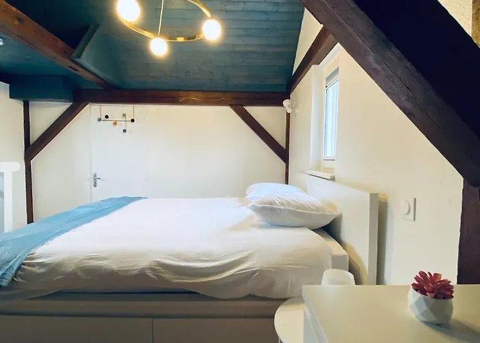 Le Stras, Triplex Atypique Individuel Appartement *